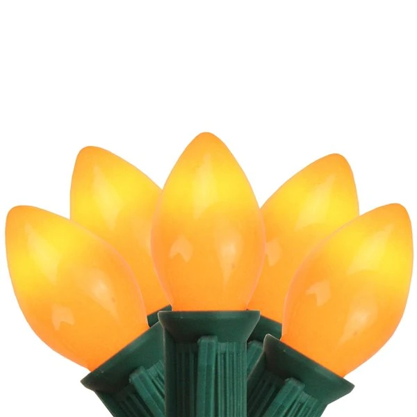 Northlight 25-Count Constant Orange Incandescent Electrical-Outlet Indoor/Outdoor 24-ft Christmas String Lights 1 Northlight 25-Count Constant Orange Incandescent Electrical-Outlet Indoor/Outdoor 24-ft Christmas String Lights