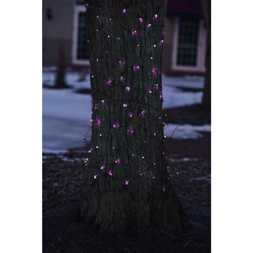 Northlight 2-ft X 8-ft Constant Purple Incandescent Mini Christmas Net Lights 2 Northlight 2-ft X 8-ft Constant Purple Incandescent Mini Christmas Net Lights - Image 2