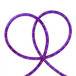 Northlight 18-ft Pre-lit Purple Incandescent Outdoor Christmas Rope Lights