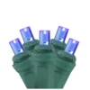 Northlight 4-ft X 6-ft Indoor/Outdoor Constant Blue LED Mini Electrical Outlet Christmas Net Lights