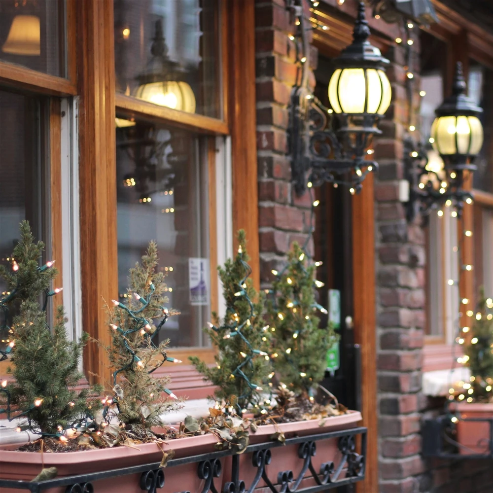 Northlight 50-Count 10-ft Warm White Incandescent Indoor/Outdoor Christmas String Lights 2 Northlight 50-Count 10-ft Warm White Incandescent Indoor/Outdoor Christmas String Lights - Image 2