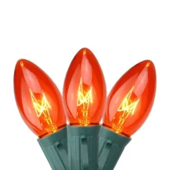 Northlight 24-ft Green Wire Orange C9 Christmas Light Set - 25-Light