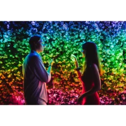 Twinkly 600-count 157.5-ft Multi-function Colour Changing LED Indoor/outdoor Christmas String Lights -Cheap Northlight Store 331067411 AlternateImage2