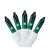 Hofert 100-Count 4.6-ft Constant Green LED Christmas String Lights